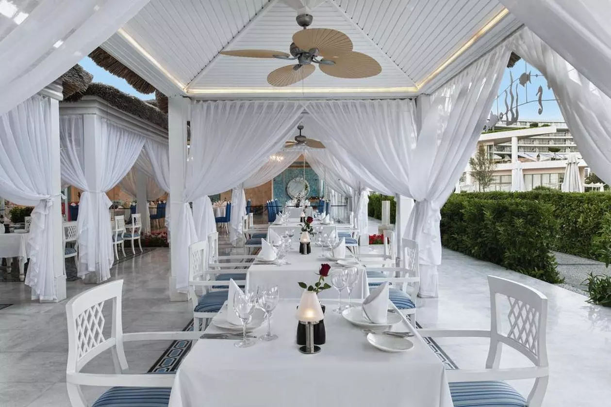 MAXXROYAL_SHABAVIZ (15).jpg